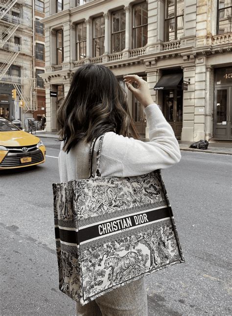 Travel to Paris with New Dior Book Tote